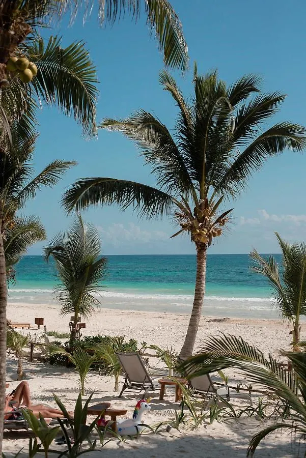Los Arrecifes Tulum