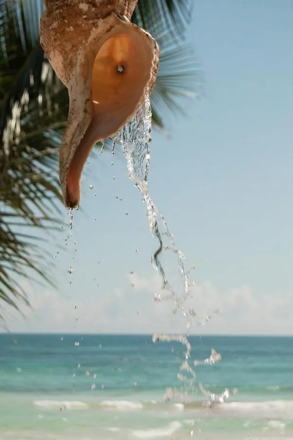 Los Arrecifes Tulum